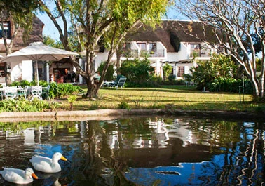 Home in Stellenbosch